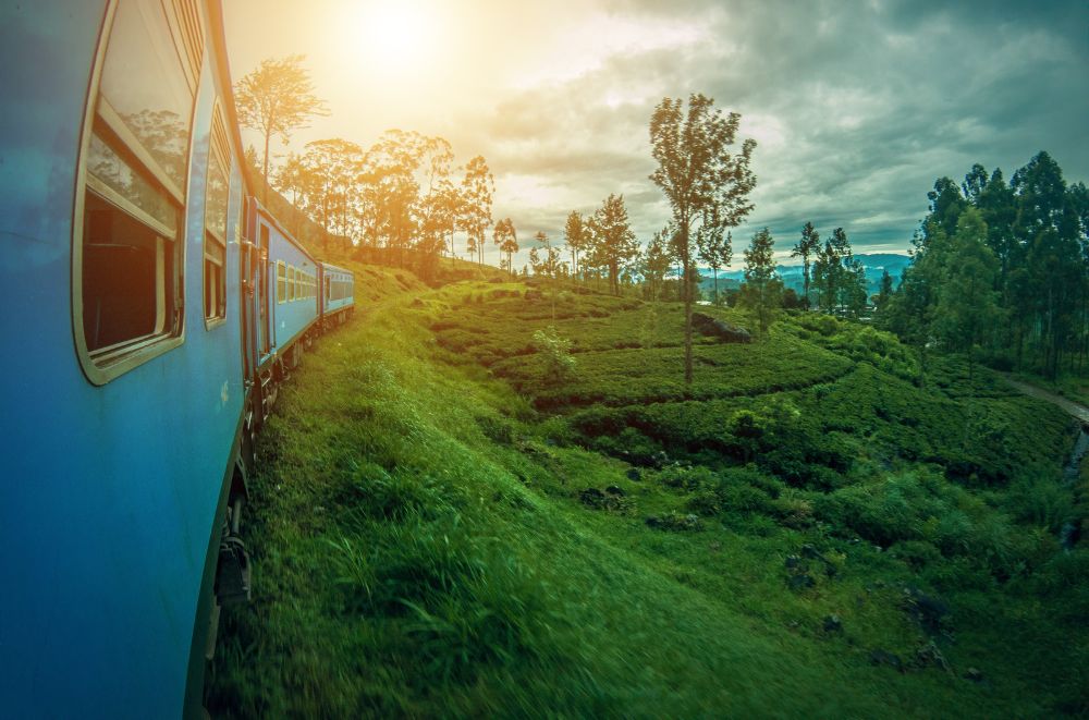 Beautiful train in Sri Lanka at sunset
